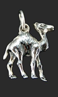 Camello en plata